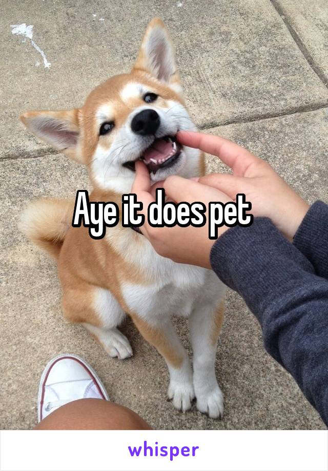 Aye it does pet 
