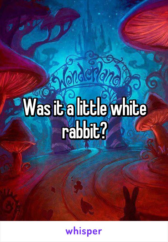 Was it a little white rabbit?