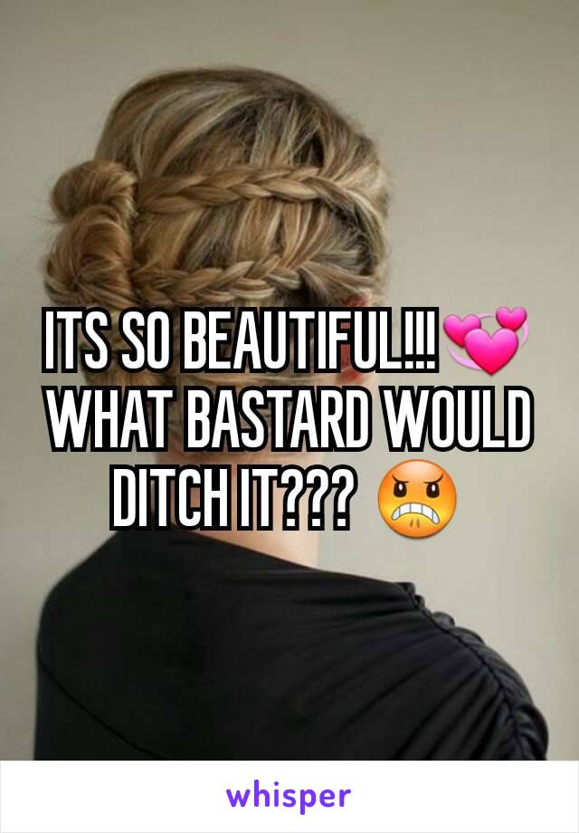 ITS SO BEAUTIFUL!!!💞 WHAT BASTARD WOULD DITCH IT??? 😠