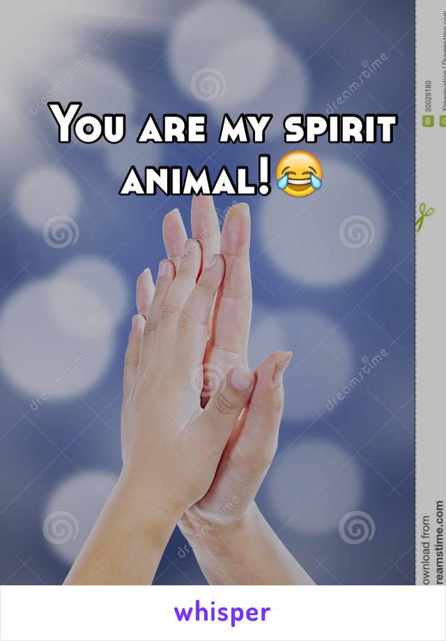 You are my spirit animal!😂