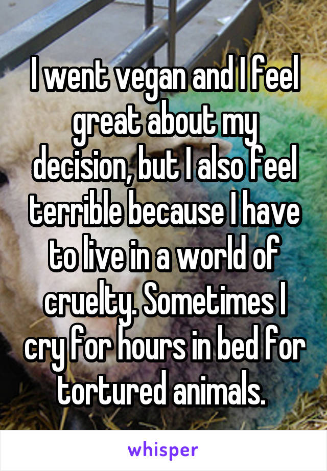 I went vegan and I feel great about my decision, but I also feel terrible because I have to live in a world of cruelty. Sometimes I cry for hours in bed for tortured animals. 
