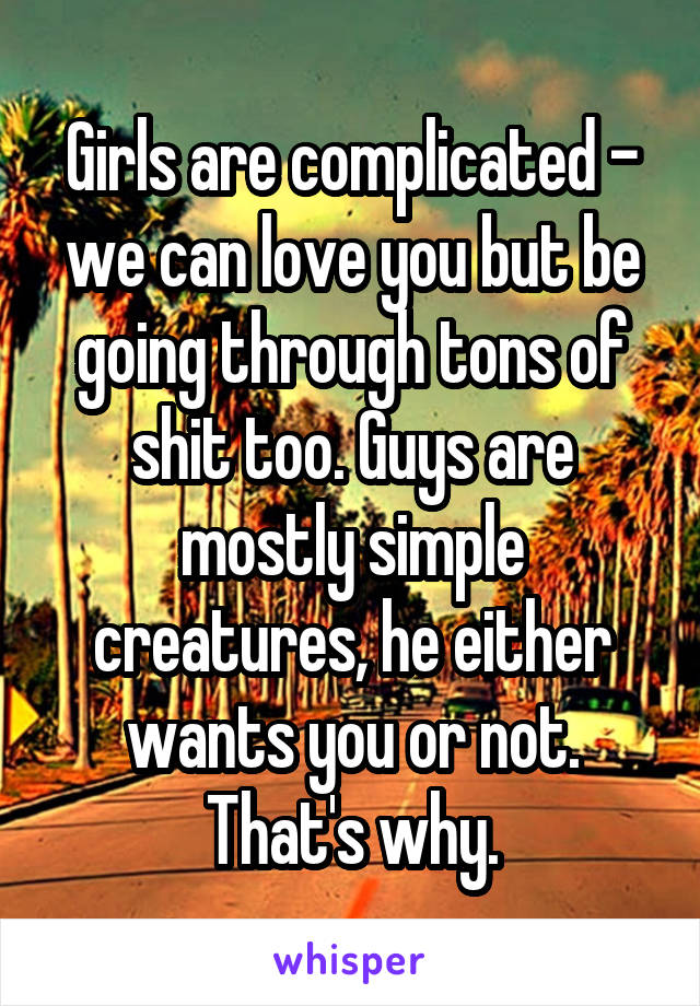 Girls are complicated - we can love you but be going through tons of shit too. Guys are mostly simple creatures, he either wants you or not. That's why.