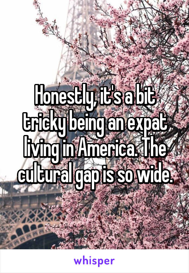 Honestly, it's a bit tricky being an expat living in America. The cultural gap is so wide.