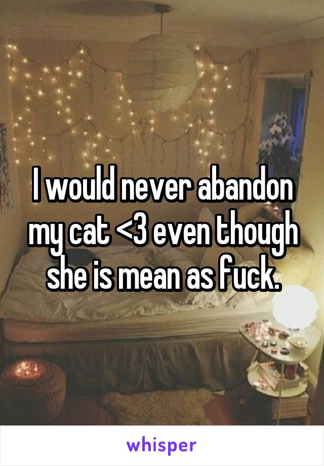 I would never abandon my cat <3 even though she is mean as fuck.