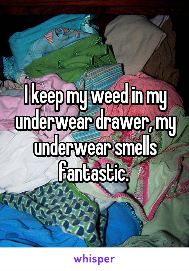 I keep my weed in my underwear drawer, my underwear smells fantastic. 