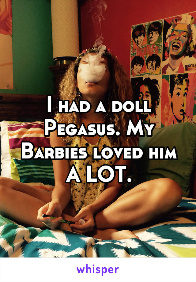 I had a doll Pegasus. My Barbies loved him A LOT.