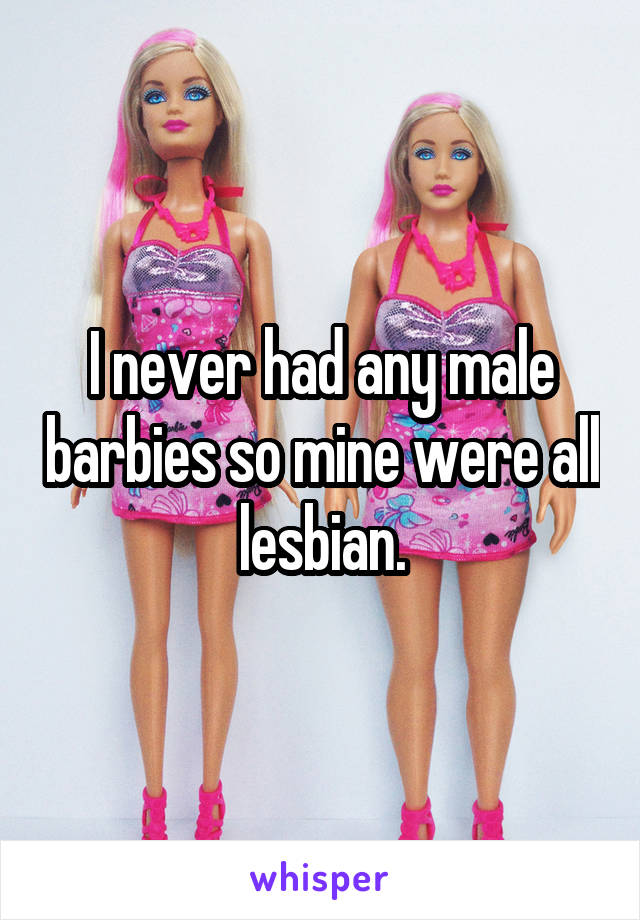 I never had any male barbies so mine were all lesbian.