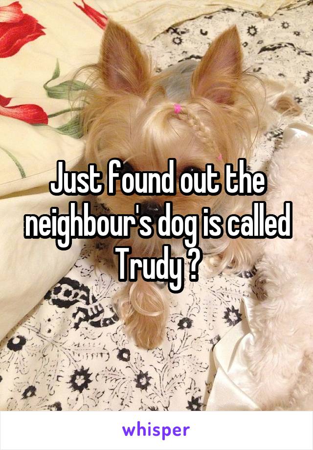 Just found out the neighbour's dog is called Trudy 😂