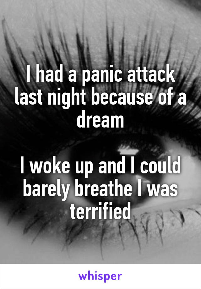 I had a panic attack last night because of a dream

I woke up and I could barely breathe I was terrified