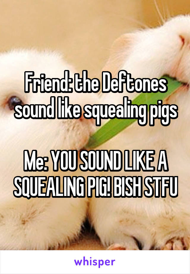 Friend: the Deftones sound like squealing pigs

Me: YOU SOUND LIKE A SQUEALING PIG! BISH STFU