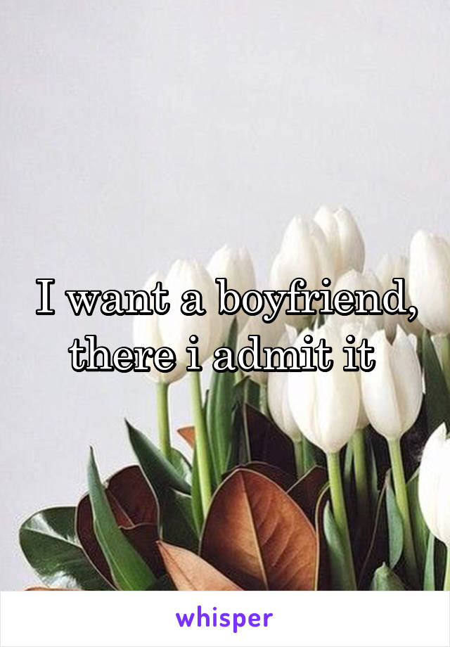 I want a boyfriend, there i admit it 