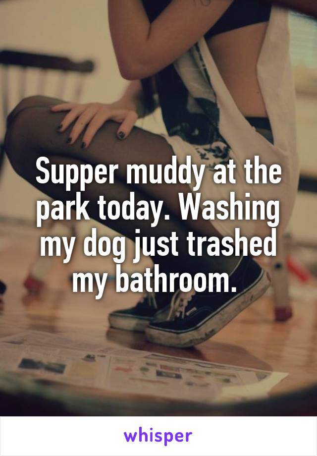 Supper muddy at the park today. Washing my dog just trashed my bathroom. 