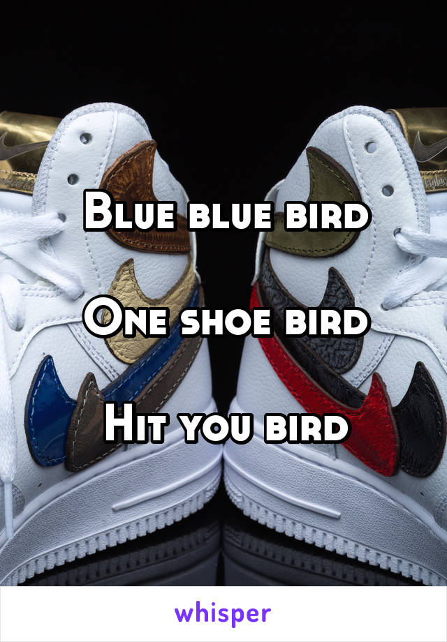 Blue blue bird

One shoe bird

Hit you bird