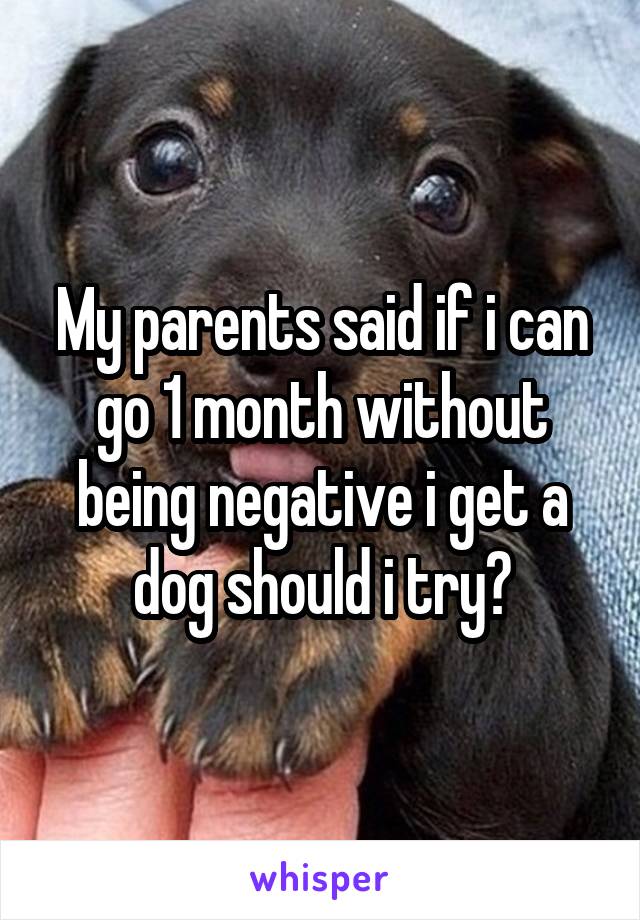 My parents said if i can go 1 month without being negative i get a dog should i try?