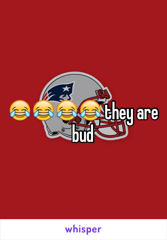 😂😂😂😂 they are bud