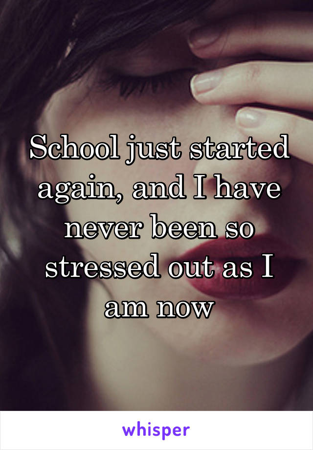School just started again, and I have never been so stressed out as I am now