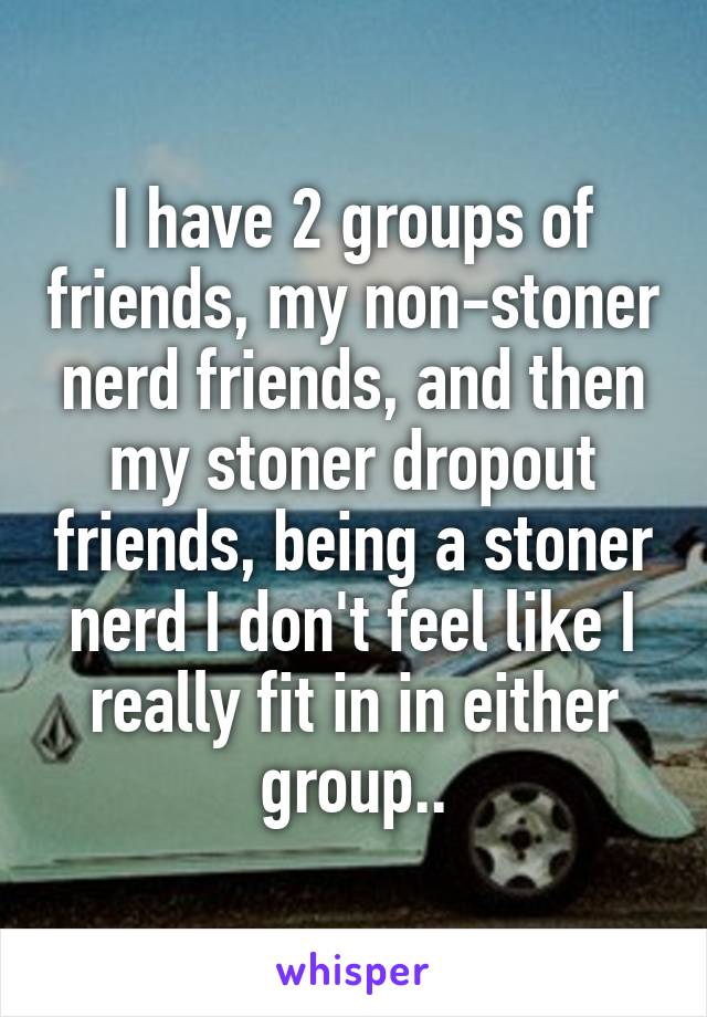 I have 2 groups of friends, my non-stoner nerd friends, and then my stoner dropout friends, being a stoner nerd I don't feel like I really fit in in either group..