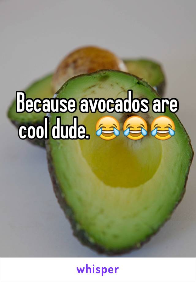 Because avocados are cool dude. 😂😂😂