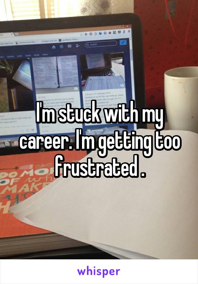 I'm stuck with my career. I'm getting too frustrated .