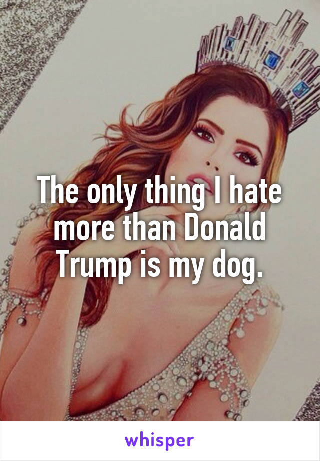 The only thing I hate more than Donald Trump is my dog.