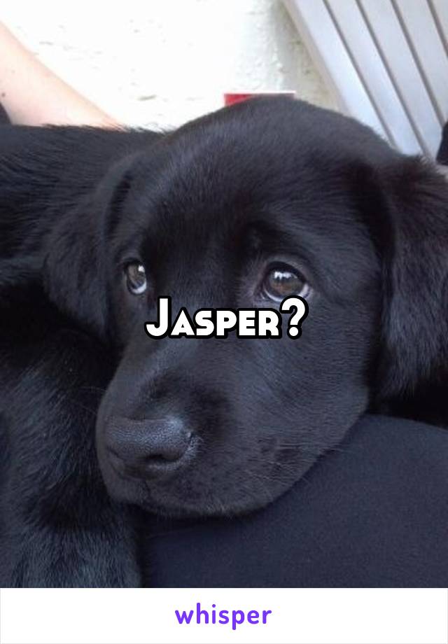 Jasper?