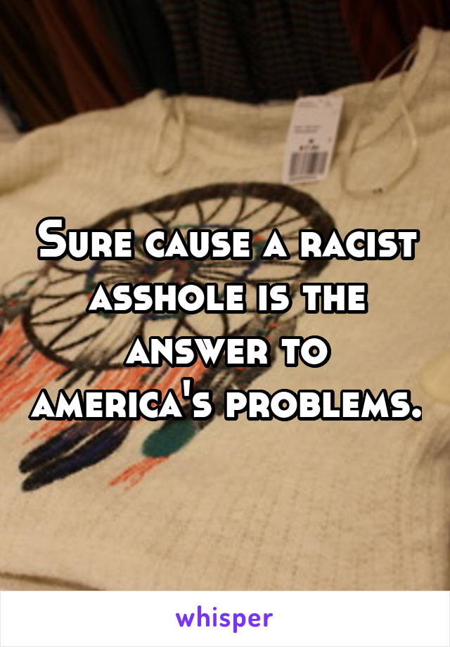 Sure cause a racist asshole is the answer to america's problems.