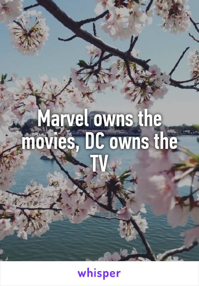 Marvel owns the movies, DC owns the TV