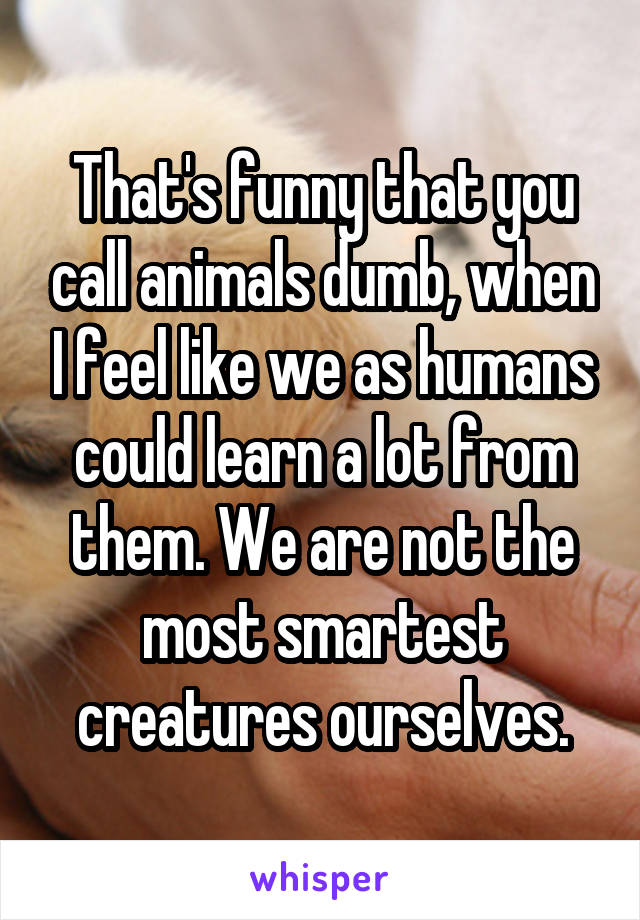 That's funny that you call animals dumb, when I feel like we as humans could learn a lot from them. We are not the most smartest creatures ourselves.