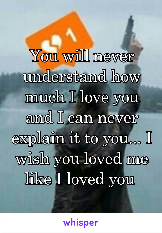 You will never understand how much I love you and I can never explain it to you... I wish you loved me like I loved you 