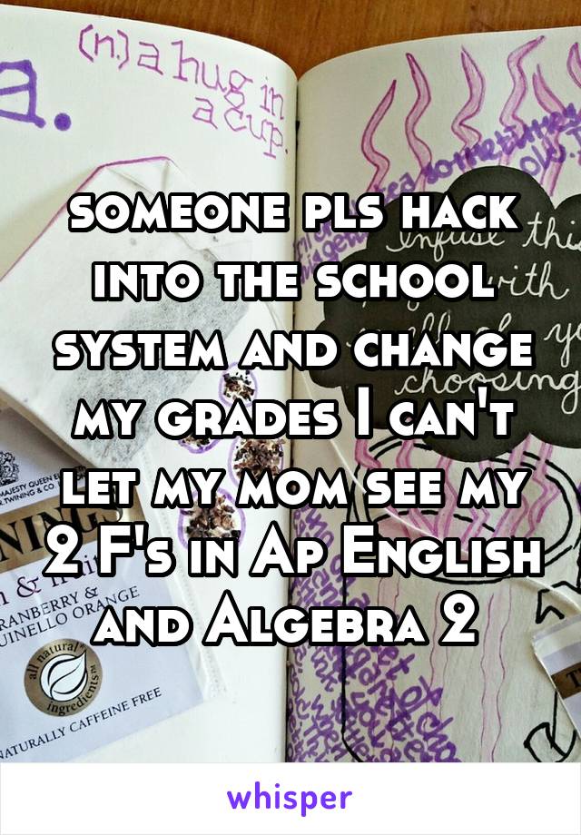 someone pls hack into the school system and change my grades I can't let my mom see my 2 F's in Ap English and Algebra 2 