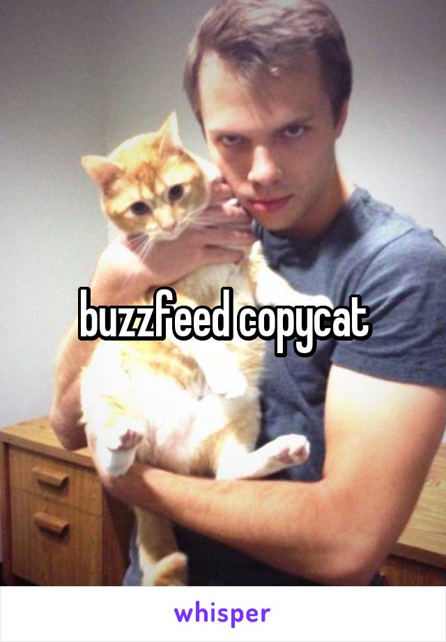 buzzfeed copycat