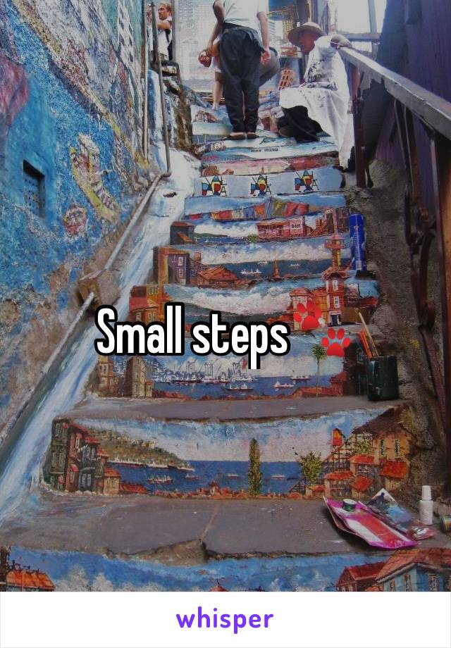 Small steps🐾