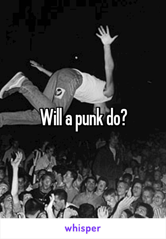 Will a punk do?
