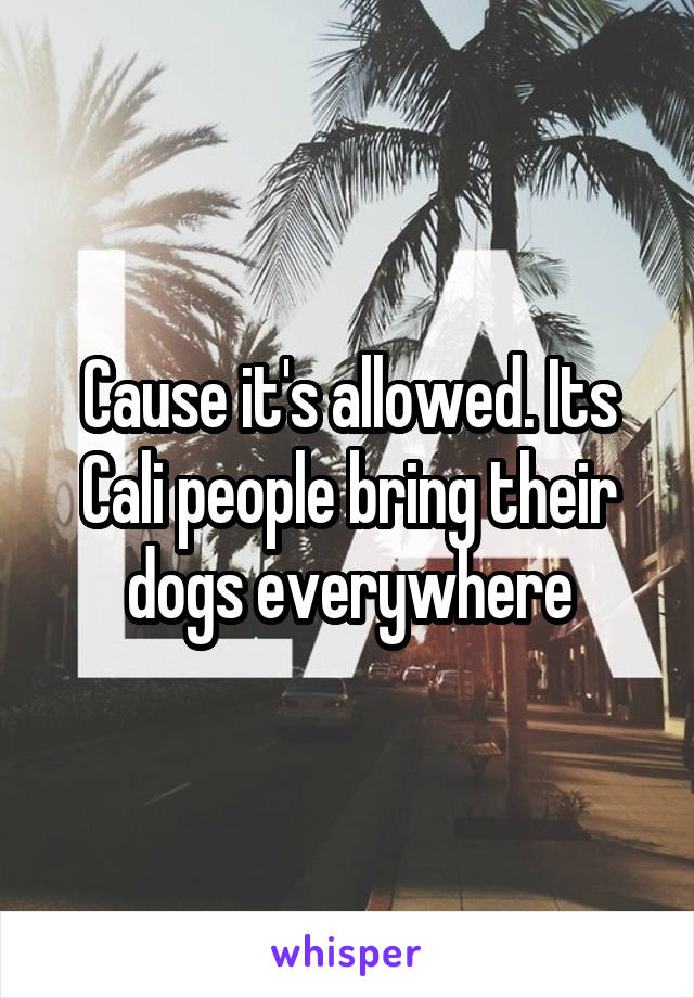 Cause it's allowed. Its Cali people bring their dogs everywhere