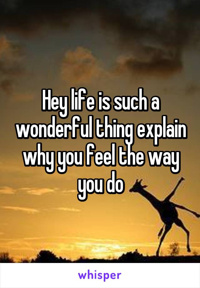 Hey life is such a wonderful thing explain why you feel the way you do