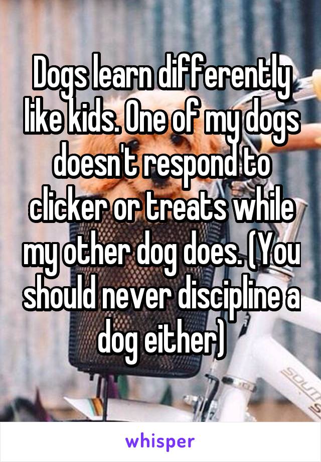 Dogs learn differently like kids. One of my dogs doesn't respond to clicker or treats while my other dog does. (You should never discipline a dog either)
