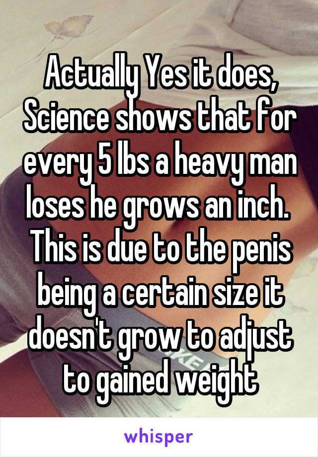 Actually Yes it does, Science shows that for every 5 lbs a heavy man loses he grows an inch.  This is due to the penis being a certain size it doesn't grow to adjust to gained weight
