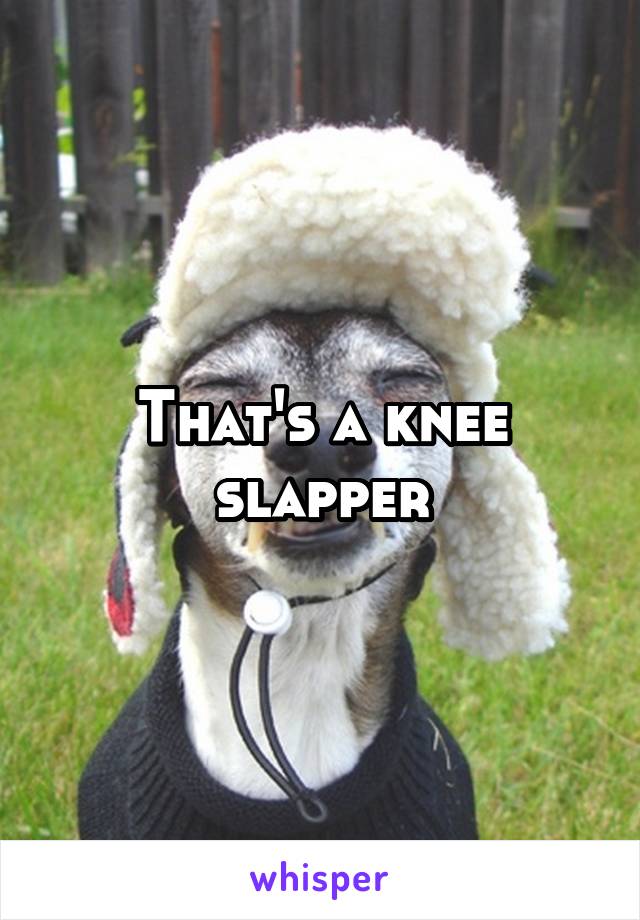 That's a knee slapper