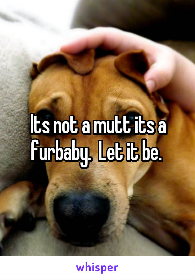 Its not a mutt its a furbaby.  Let it be. 
