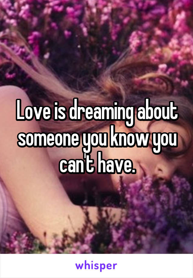 Love is dreaming about someone you know you can't have.