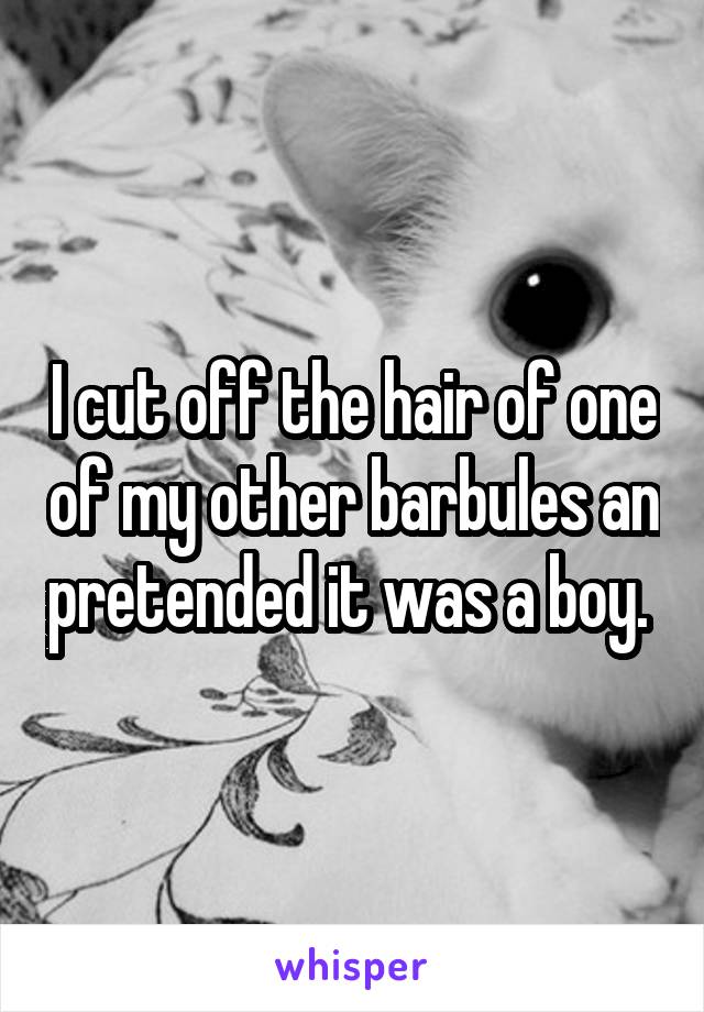 I cut off the hair of one of my other barbules an pretended it was a boy. 