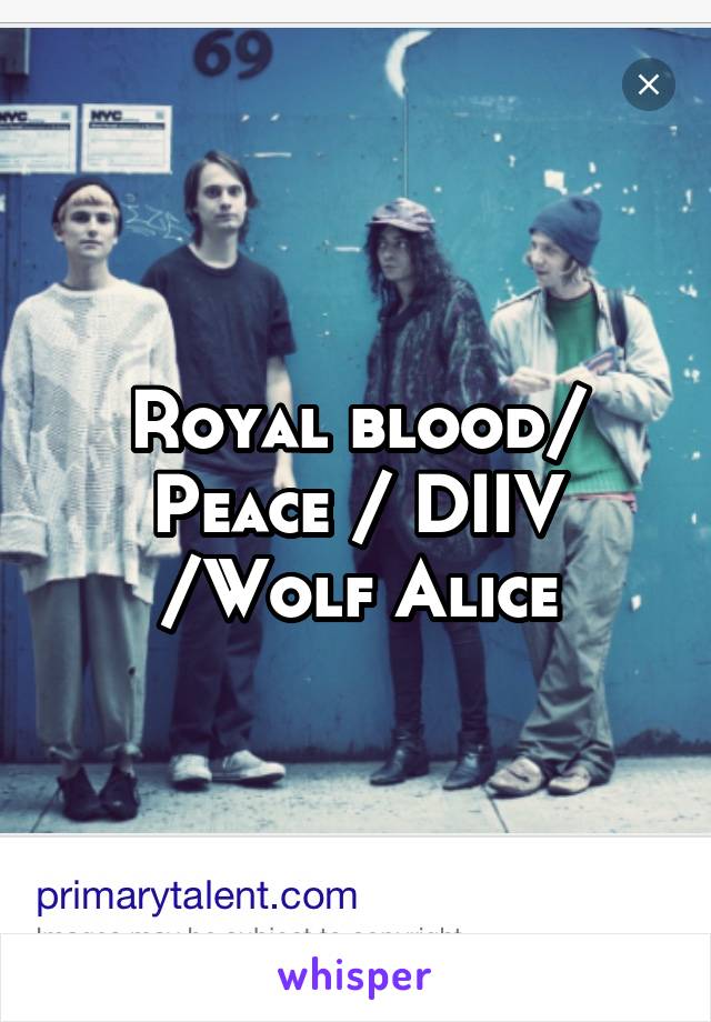 Royal blood/ Peace / DIIV /Wolf Alice
