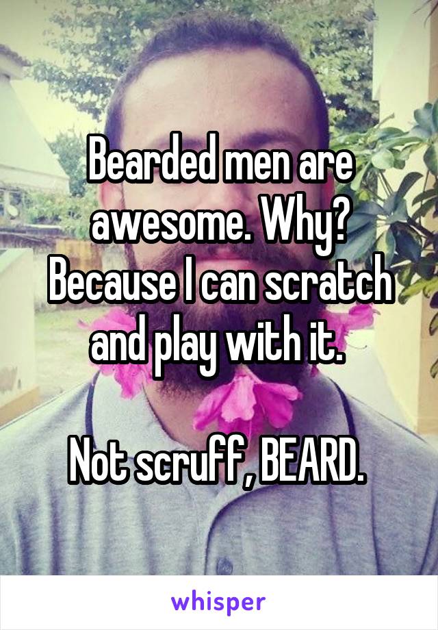 Bearded men are awesome. Why? Because I can scratch and play with it. 

Not scruff, BEARD. 