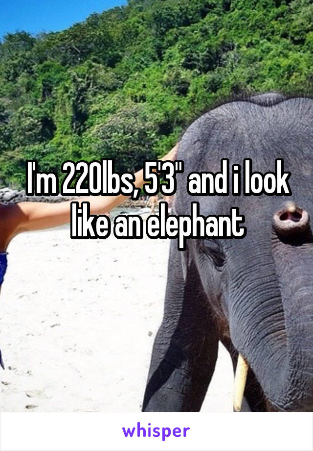 I'm 220lbs, 5'3" and i look like an elephant
