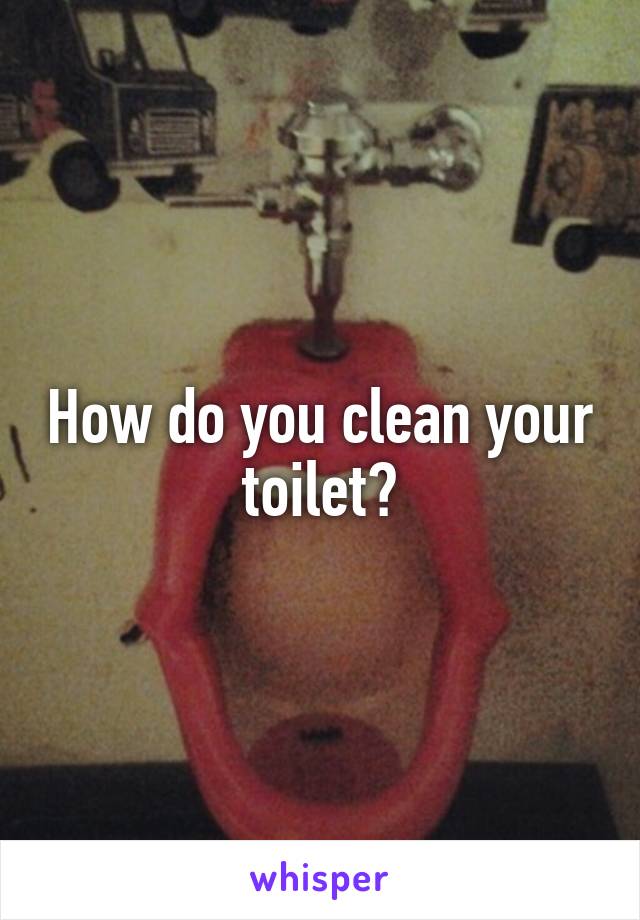 How do you clean your toilet?