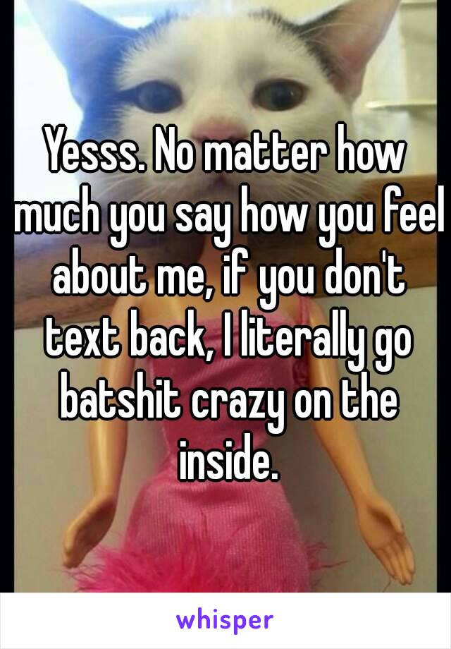 Yesss. No matter how much you say how you feel about me, if you don't text back, I literally go batshit crazy on the inside.