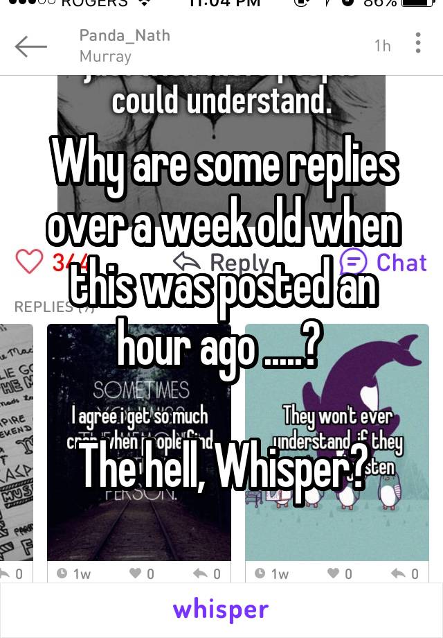 Why are some replies over a week old when this was posted an hour ago .....? 

The hell, Whisper?