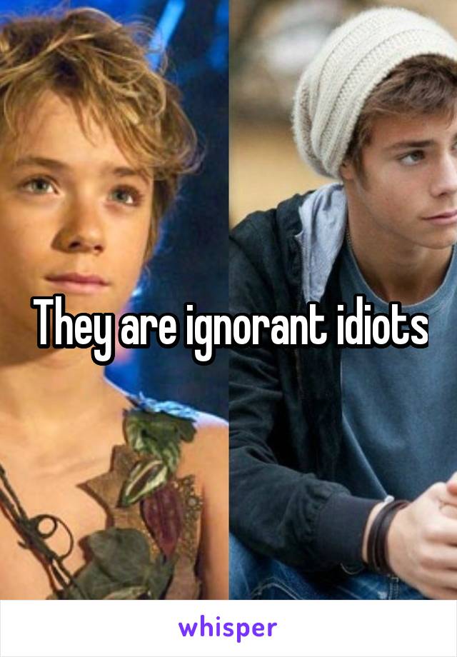 They are ignorant idiots