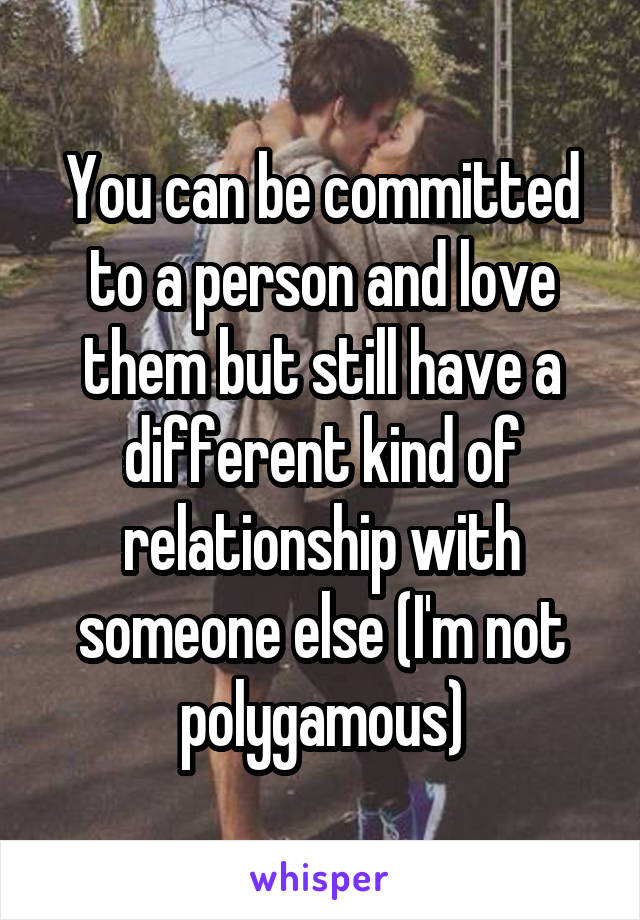 You can be committed to a person and love them but still have a different kind of relationship with someone else (I'm not polygamous)