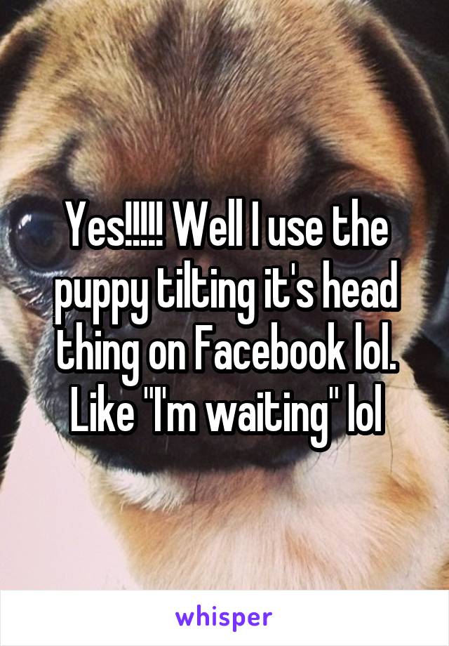 Yes!!!!! Well I use the puppy tilting it's head thing on Facebook lol. Like "I'm waiting" lol